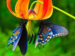 test1